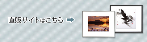 ̃TCg͂